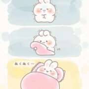 ヒメ日記 2025/12/28 08:49 投稿 さら エディーズ