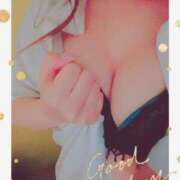 ヒメ日記 2025/11/13 17:22 投稿 愛星　ちえ ノーパンパンスト スケベなOL梅田・兎我野店