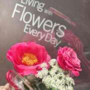 ヒメ日記 2025/04/24 01:21 投稿 愛南【あいな】 丸妻 西船橋店