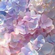 ヒメ日記 2025/08/02 01:54 投稿 愛南【あいな】 丸妻 西船橋店