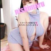 ヒメ日記 2025/11/19 05:26 投稿 愛南【あいな】 丸妻 西船橋店