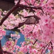 ヒメ日記 2026/03/01 22:25 投稿 愛南【あいな】 丸妻 西船橋店