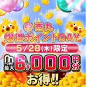 ヒメ日記 2026/05/23 15:31 投稿 愛南【あいな】 丸妻 西船橋店