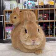 ヒメ日記 2025/05/17 15:49 投稿 莉穂 東京人妻フォーシーズンズ