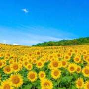 ヒメ日記 2025/05/26 20:44 投稿 莉穂 東京人妻フォーシーズンズ