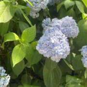 ヒメ日記 2025/06/21 12:44 投稿 莉穂 東京人妻フォーシーズンズ