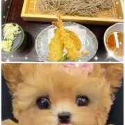 ヒメ日記 2025/07/18 14:24 投稿 莉穂 東京人妻フォーシーズンズ