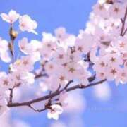 ヒメ日記 2026/02/16 00:34 投稿 莉穂 東京人妻フォーシーズンズ