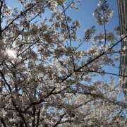 ヒメ日記 2026/04/05 15:24 投稿 莉穂 東京人妻フォーシーズンズ