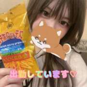 ヒメ日記 2026/03/29 11:14 投稿 なつば☆超可愛い極上ぴゅあ清楚 PREMIUM萌え可愛いチョコレート～全てのステージで感動の体験を～