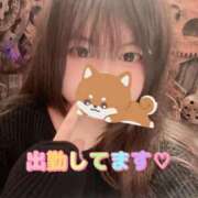 なつば☆超可愛い極上ぴゅあ清楚 出勤しました〜💐 PREMIUM萌え可愛いチョコレート～全てのステージで感動の体験を～