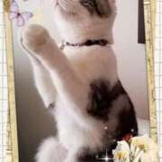 ヒメ日記 2025/01/16 02:24 投稿 彩美（あみ） PLUS難波店