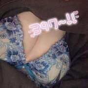 ヒメ日記 2025/01/29 23:19 投稿 ななせ お姉ちゃんゴメンね