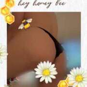 ヒメ日記 2025/02/20 01:21 投稿 しゅな 即アポマダム～名古屋店～