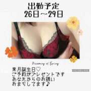 ヒメ日記 2025/04/25 10:53 投稿 しゅな 即アポマダム～名古屋店～