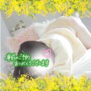 ヒメ日記 2026/02/23 18:51 投稿 しゅな 即アポマダム～名古屋店～