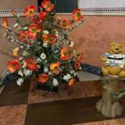 ヒメ日記 2026/02/27 18:01 投稿 しゅな 即アポマダム～名古屋店～