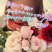 ヒメ日記 2025/04/14 21:51 投稿 しゅな 即アポ奥さん〜名古屋店〜