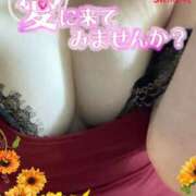 ヒメ日記 2025/07/26 17:56 投稿 しゅな 即アポ奥さん〜名古屋店〜