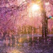 ヒメ日記 2026/02/25 20:36 投稿 しゅな 即アポ奥さん〜名古屋店〜