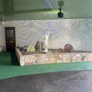 ヒメ日記 2024/12/15 06:36 投稿 ほたる タレント倶楽部Around40