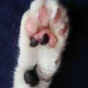 ヒメ日記 2024/12/19 01:06 投稿 ほたる タレント倶楽部Around40