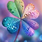 ヒメ日記 2024/12/30 06:30 投稿 ほたる タレント倶楽部Around40