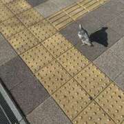 ヒメ日記 2025/01/11 13:52 投稿 ほたる タレント倶楽部Around40