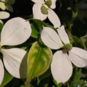 ヒメ日記 2025/03/22 09:06 投稿 ほたる タレント倶楽部Around40