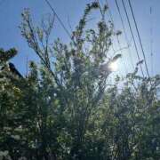 ヒメ日記 2025/04/27 19:36 投稿 ほたる タレント倶楽部Around40