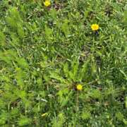 ヒメ日記 2025/04/30 01:12 投稿 ほたる タレント倶楽部Around40