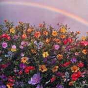 ヒメ日記 2025/04/30 12:10 投稿 ほたる タレント倶楽部Around40