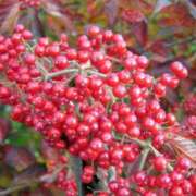 ヒメ日記 2025/06/24 00:40 投稿 ほたる タレント倶楽部Around40