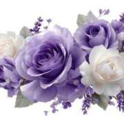 ヒメ日記 2025/06/27 10:20 投稿 ほたる タレント倶楽部Around40