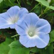 ヒメ日記 2025/06/29 09:08 投稿 ほたる タレント倶楽部Around40