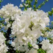 ヒメ日記 2025/07/01 07:02 投稿 ほたる タレント倶楽部Around40