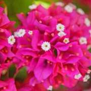 ヒメ日記 2025/07/03 18:30 投稿 ほたる タレント倶楽部Around40