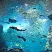 ヒメ日記 2025/07/11 20:46 投稿 ほたる タレント倶楽部Around40