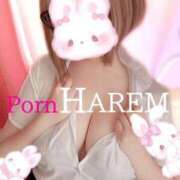 ヒメ日記 2024/01/10 14:05 投稿 ましろちゃん Porn HAREM 熊谷店