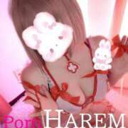 ヒメ日記 2024/01/12 14:04 投稿 ましろちゃん Porn HAREM 熊谷店