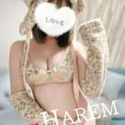 ヒメ日記 2024/12/09 09:54 投稿 ましろちゃん Porn HAREM 熊谷店