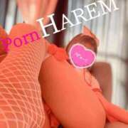 ヒメ日記 2024/12/15 10:14 投稿 ましろちゃん Porn HAREM 熊谷店