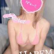 ヒメ日記 2025/01/24 13:44 投稿 ましろちゃん Porn HAREM 熊谷店