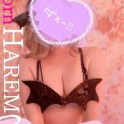 ヒメ日記 2025/02/25 15:44 投稿 ましろちゃん Porn HAREM 熊谷店