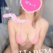 ヒメ日記 2025/03/13 09:44 投稿 ましろちゃん Porn HAREM 熊谷店