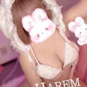 ヒメ日記 2025/04/23 00:34 投稿 ましろちゃん Porn HAREM 熊谷店