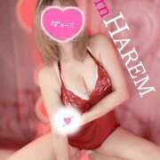 ヒメ日記 2025/04/24 10:04 投稿 ましろちゃん Porn HAREM 熊谷店