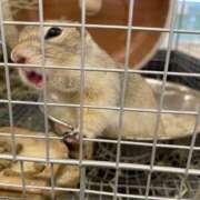 ヒメ日記 2025/07/16 15:14 投稿 ましろちゃん Porn HAREM 熊谷店