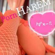 ヒメ日記 2025/10/04 09:51 投稿 ましろちゃん Porn HAREM 熊谷店
