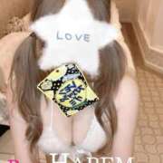 ヒメ日記 2025/11/14 12:24 投稿 ましろちゃん Porn HAREM 熊谷店